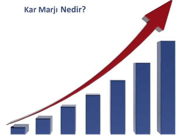 Türkiye'de Yüksek Potansiyelli İş Fikirleri 